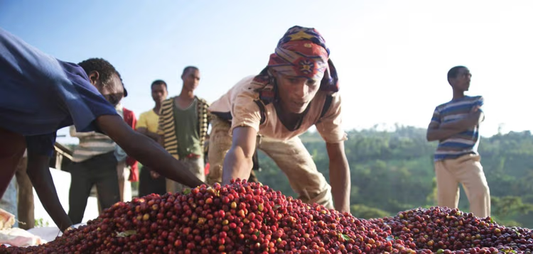 Sobre la finca