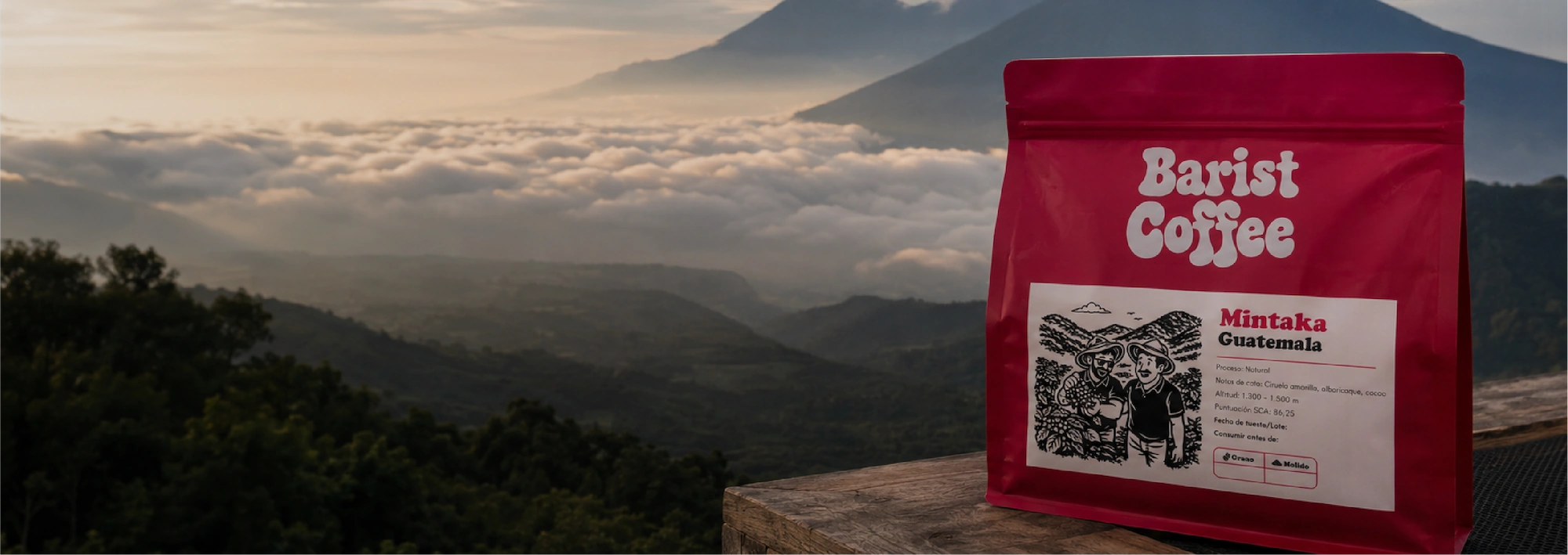 Café Mintaka Guatemala