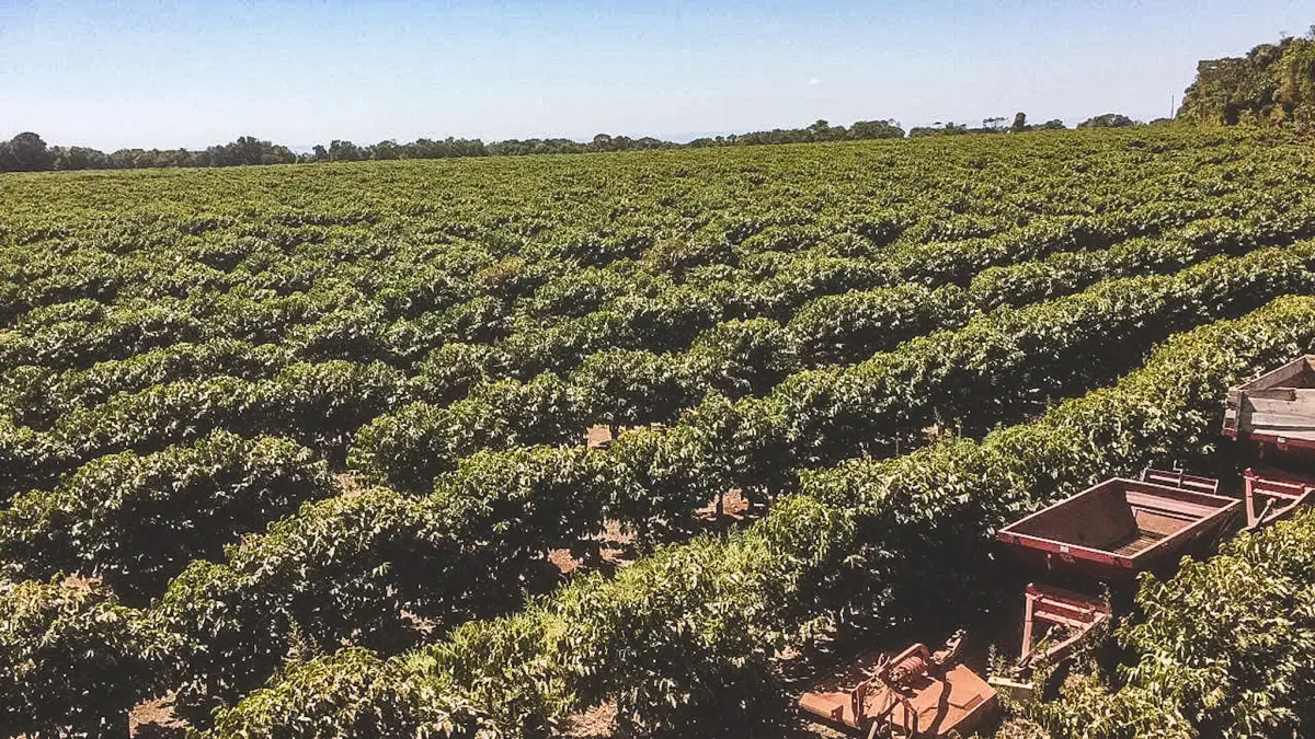 Sobre la finca