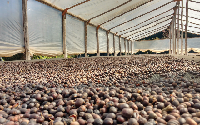 Sobre la finca
