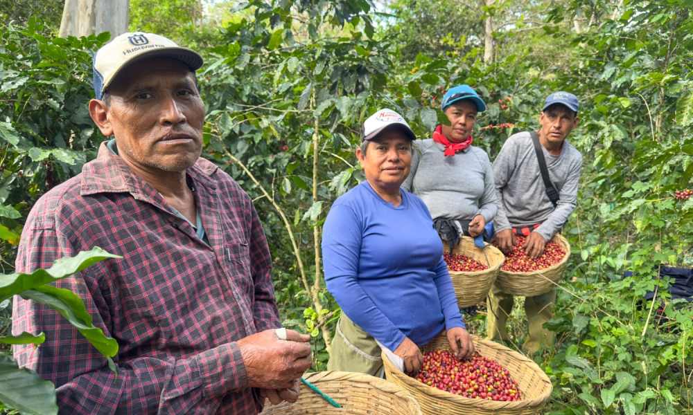 Sobre la finca
