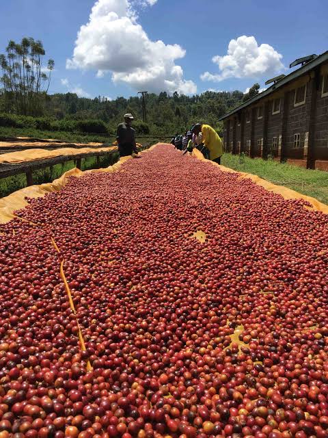 Sobre la finca